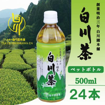 ふるさと納税 七宗町 白川茶 ペットボトル 500ml 24本入り1ケース