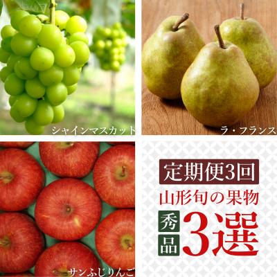 ふるさと納税 長井市 [2026年発送][定期便3回]山形旬の果物3選(シャインマスカット洋梨りんご)_H159(R8)