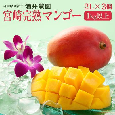 ふるさと納税 西都市 宮崎完熟マンゴー2L×3個[西都市酒井農園]宮崎マンゴー先行受付[3101]