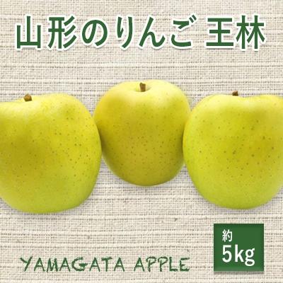 ふるさと納税 長井市 [2026年発送]山形のりんご(王林)約5kg_H079(R8)