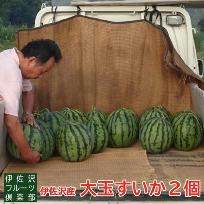 ふるさと納税 長井市 [2026年発送]伊佐沢フルーツ倶楽部の大玉すいか2玉_H099(R8)