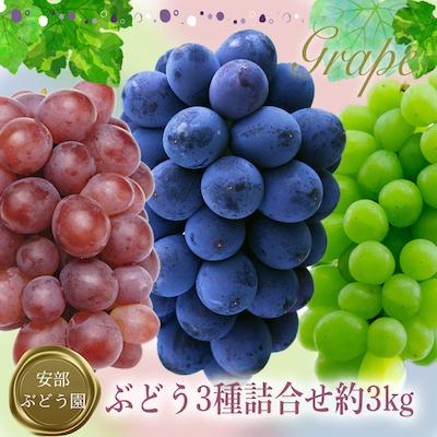 ふるさと納税 長井市 [2026年発送]安部ぶどう園のぶどう3種詰合せ約3kg_H093(R8)