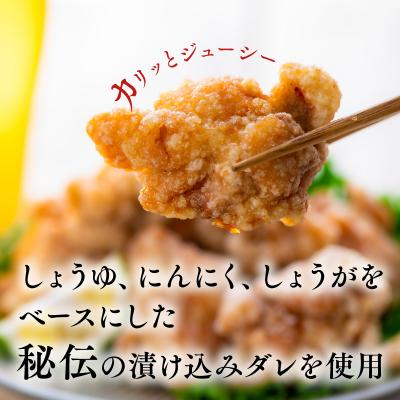 ふるさと納税 豊後高田市 【最短3営業日発送】 唐揚げ 骨なし大分からあげ 1kg(500g×2袋) お弁当 おつまみ |  | 03