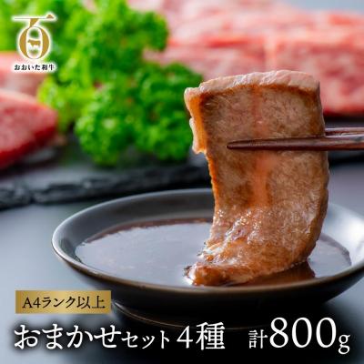 ふるさと納税 豊後高田市 [スピード発送] おまかせ 焼肉セット (計800g) 黒毛和牛 焼き肉 片桐さんの おおいた和牛
