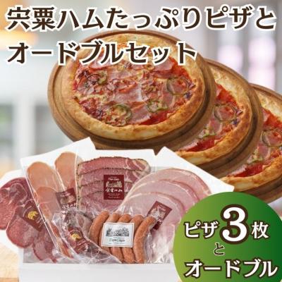 ふるさと納税 宍粟市 宍粟ハムたっぷりピザとオードブルセットJ19