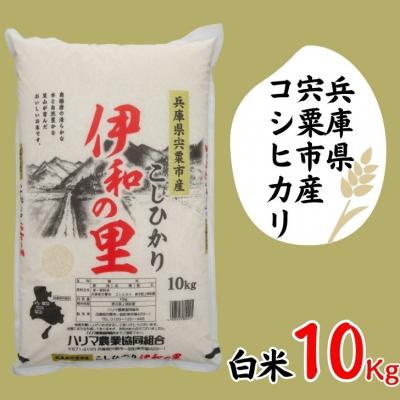 ふるさと納税 宍粟市 [令和7年産]しそうのおいしいお米コシヒカリ精米「伊和の里」10Kg P8