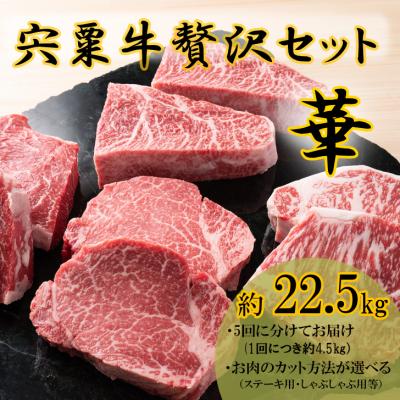 ふるさと納税 宍粟市 宍粟牛贅沢セット[華:22.5kg]F14