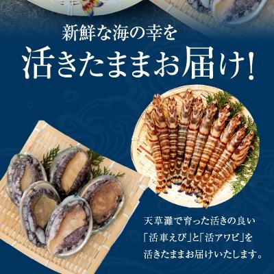ふるさと納税 天草市 【指定日必須】活車海老とアワビ詰合せ 車海老 約10尾 アワビ 3〜5枚_S002-003A |  | 01