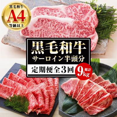 ふるさと納税 いちき串木野市 [3か月定期便]カットを選べる!鹿児島県産 黒毛和牛 サーロイン 半頭分 9kg(3kg×3回)