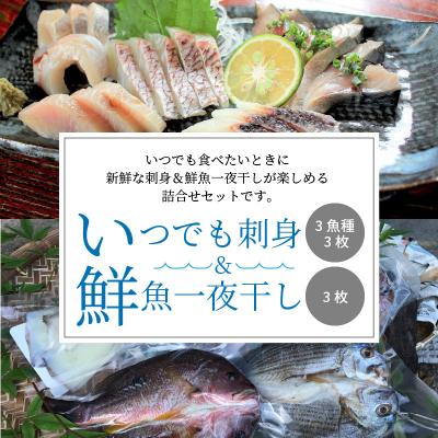 ふるさと納税 天草市 いつでも刺身 3魚種 3枚&amp;鮮魚一夜干し 3枚セット