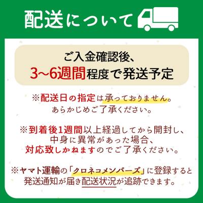 ふるさと納税 庄内町 雪若丸 特別栽培玄米 パックごはん 24個 有機黒米入 健康 ダイエット 備蓄 保存食 防災 |  | 03