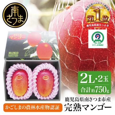 ふるさと納税 南さつま市 [5月〜6月発送]鹿児島県産 完熟マンゴー 2Lサイズ 2玉(化粧箱入り) 期間限定
