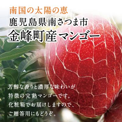 ふるさと納税 南さつま市 【5月〜6月発送】鹿児島県産 完熟マンゴー 2Lサイズ 2玉(化粧箱入り) 期間限定_1