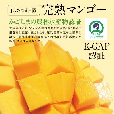 ふるさと納税 南さつま市 【5月〜6月発送】鹿児島県産 完熟マンゴー 2Lサイズ 2玉(化粧箱入り) 期間限定_2
