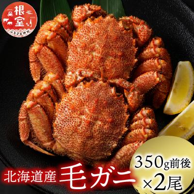 ふるさと納税 根室市 浜ゆで毛がに350g前後×2尾 A-21001
