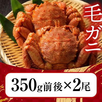 ふるさと納税 根室市 浜ゆで毛がに350g前後×2尾 A-21001 |  | 02