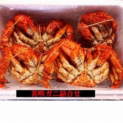 ふるさと納税 根室市 【北海道根室産】花咲ガニ3〜5尾(チルド便) A-57026 |  | 02