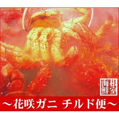 ふるさと納税 根室市 【北海道根室産】花咲ガニ2尾(チルド便) A-57025