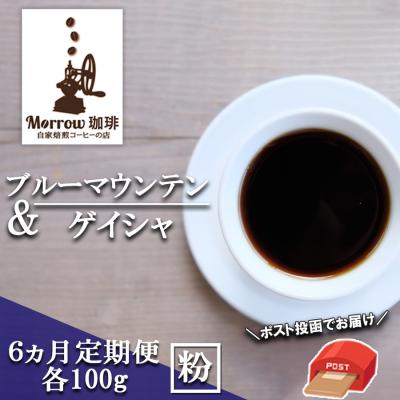 ふるさと納税 小郡市 コーヒー 定期便6ヶ月 ブルーマウンテンNo.1&amp;ゲイシャ 各100g 粉[No5354-0425]