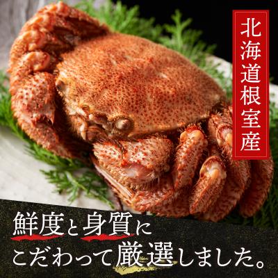 ふるさと納税 根室市 ＜計800前後＞【北海道根室産】毛がに400g前後×2尾 B-21003 |  | 02