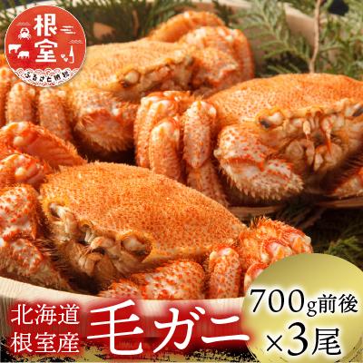 ふるさと納税 根室市 【北海道根室産】毛がに700g前後×3尾 D-21003