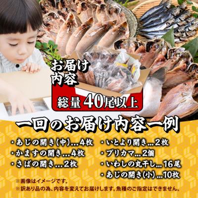 ふるさと納税 佐伯市 <訳あり> 干物大満足BOX (40尾以上・5-8種) |  | 01