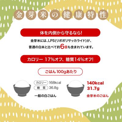 ふるさと納税 飯能市 埼玉県産 金芽米(彩のきずな)【BG無洗米】10kg |  | 02