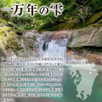 ふるさと納税 佐伯市 ミネラルウォーター 一万年の雫 軟水 (計12L・500ml×24本)の画像