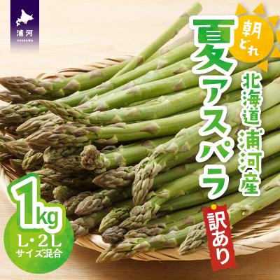 ふるさと納税 浦河町 [先行受付開始!][訳あり]北海道浦河産 朝採り夏アスパラ(グリーン)1kg[03-145]