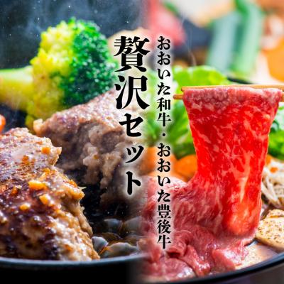 ふるさと納税 豊後高田市 [スピード発送] おおいた和牛 モモ・ロースすき焼き肉 (500g)&amp;豊後牛ハンバーグ(9個)セット