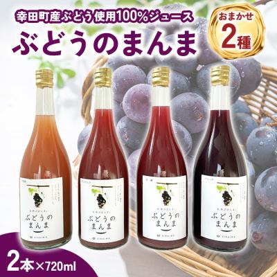 ふるさと納税 幸田町 幸田町産ぶどう使用100%ジュース 2種詰め合わせ (720ml × 2本)