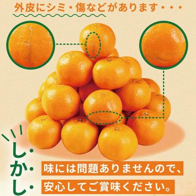ふるさと納税 室戸市 【訳あり】人気の柑橘室戸産ポンカン2.5kg |  | 02