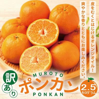 ふるさと納税 室戸市 【訳あり】人気の柑橘室戸産ポンカン2.5kg |  | 03