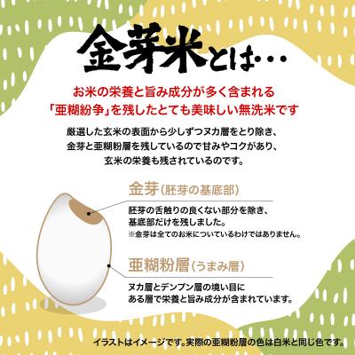 ふるさと納税 飯能市 【定期便】埼玉県産 金芽米(彩のきずな) 5kg×6ヶ月分 |  | 01