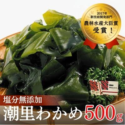 ふるさと納税 鳴門市 [農林水産大臣賞]潮里わかめ