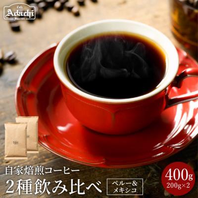 ふるさと納税 関市 カフェ・アダチ 自家焙煎 メキシコ・ペルー(200g×2種類)詰め合わせセット S10-09