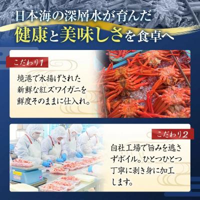 ふるさと納税 境港市 境港産紅ズワイガニ(計800g/脚肉500g・爪肉300g) |  | 02