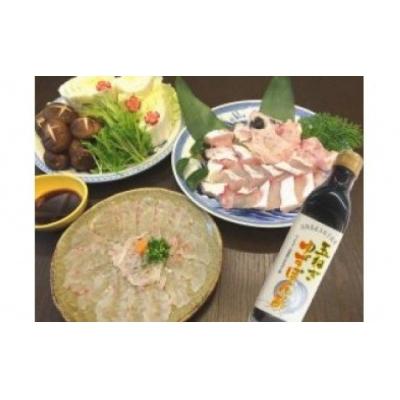 ふるさと納税 南あわじ市 クエ切身・刺身セット ポン酢付き