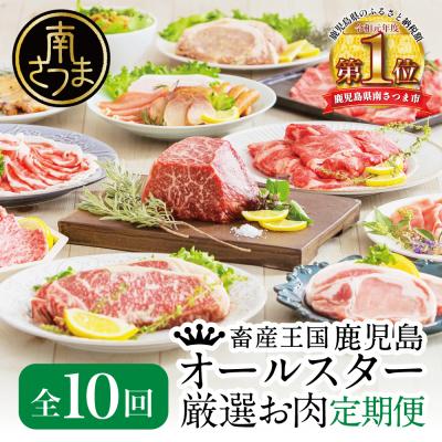 ふるさと納税 南さつま市 [定期便 全10回]オールスター厳選お肉定期便 牛肉・豚肉・肉加工品