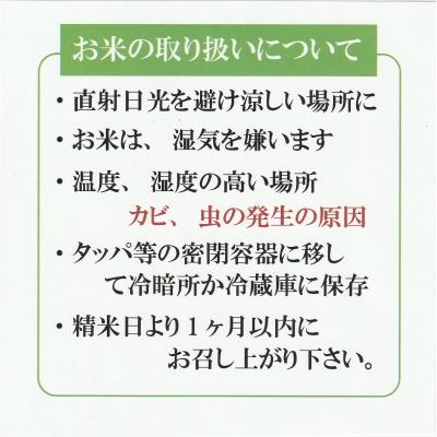 ふるさと納税 米子市 【新米】令和8年産 ひとめぼれ10kg(精白) |  | 01