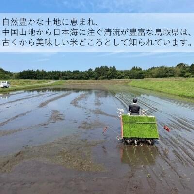 ふるさと納税 米子市 【新米】令和8年産 ひとめぼれ10kg(精白) |  | 02