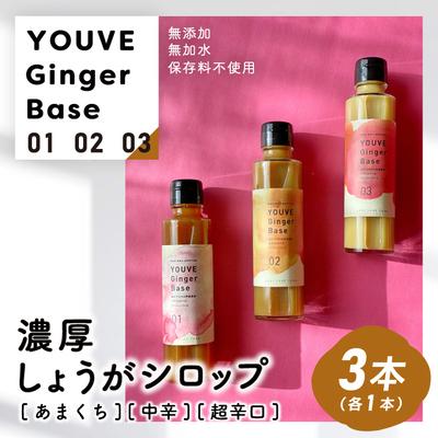 ふるさと納税 四万十市 生姜好きさんにオススメ!濃厚・しょうがシロップ3種セット[あまくち・中辛・超辛口]25-759