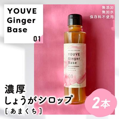 ふるさと納税 四万十市 生姜好きさんにオススメ!濃厚・しょうがシロップ2本セット[あまくち]25-756