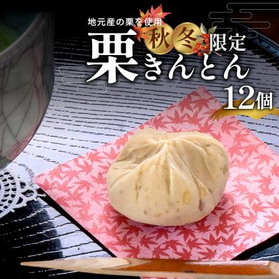 ふるさと納税 七宗町 [9月発送] 地元産の栗 栗きんとん 12個入り 秋冬限定 老舗和菓子 松栄堂