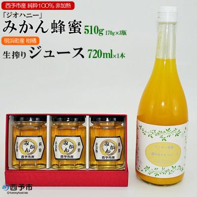ふるさと納税 西予市 <みかん蜂蜜「ジオハニー」170g×3瓶と柑橘生搾りジュース720ml×1本のセット> ミカン 大地