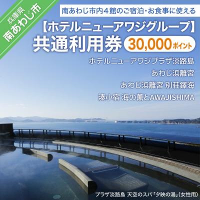 ふるさと納税 南あわじ市 【ホテルニューアワジグループ】南あわじ市内施設　共通利用券 | 