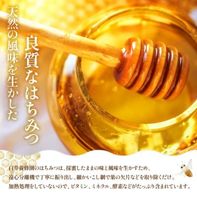 ふるさと納税 三笠市 純粋はちみつ(あかしあ)600g《令和8年7頃より発送