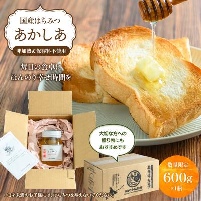ふるさと納税 三笠市 純粋はちみつ(あかしあ)600g《令和8年7頃より発送