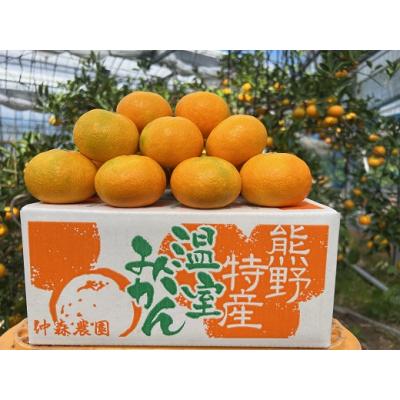 ふるさと納税 熊野市 [2026年7月以降配送]仲森農園の「温室みかん」(2.5kg)