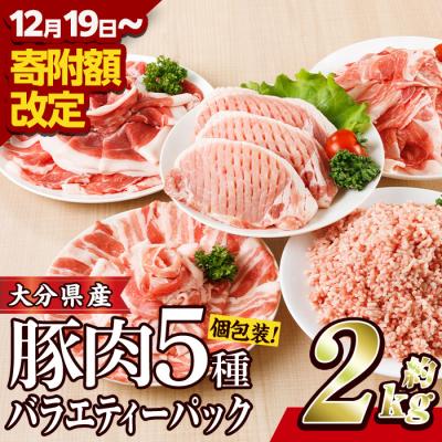 ふるさと納税 佐伯市 豚肉 バラエティーパック(合計2kg・5種)